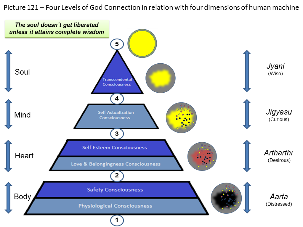What are the four levels of consciousness?